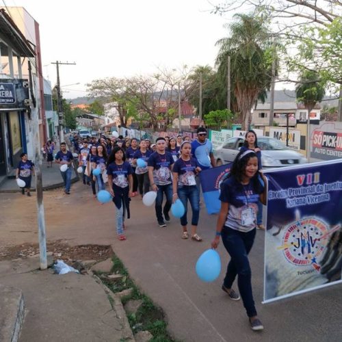 ARTIGO | A força e perseverança da JMV na Amazônia