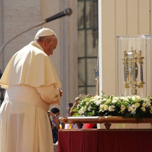 ESPECIAL | Audiência histórica do Papa Francisco com a Família Vicentina