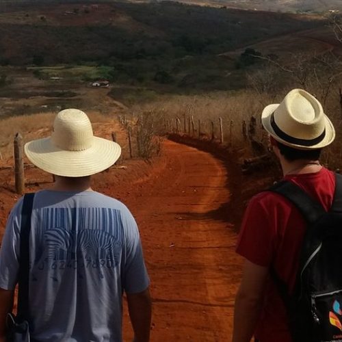 Início ARTIGO | A Cultura Vocacional na Família Vicentina